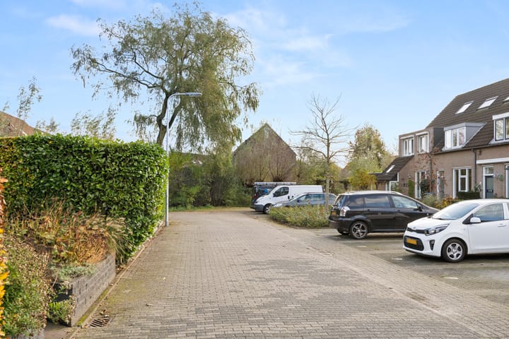 Foto 28 van Fluitekruid 8