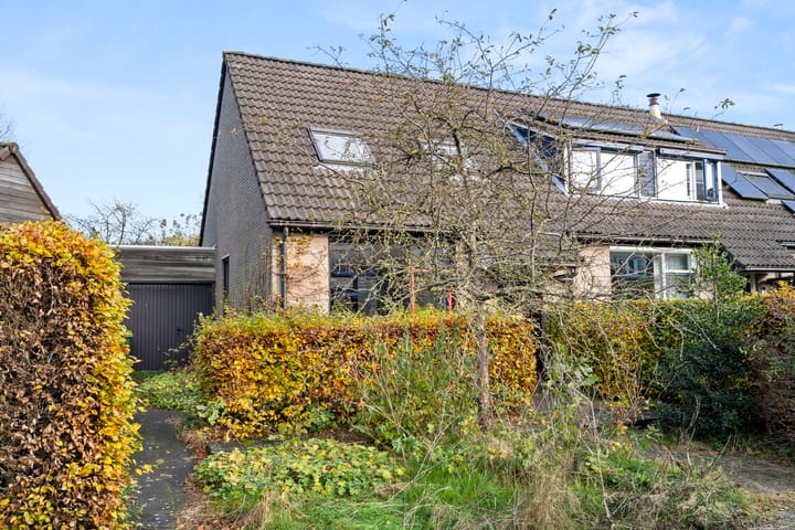 Foto 1 van Fluitekruid 8