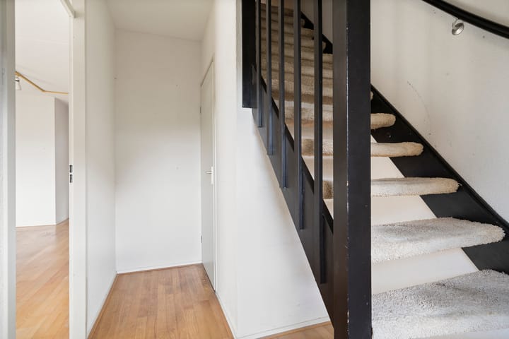 Foto 13 van Fluitekruid 8