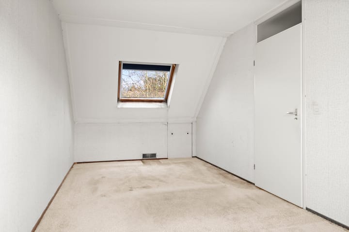 Foto 15 van Fluitekruid 8