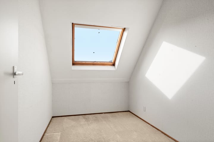 Foto 16 van Fluitekruid 8