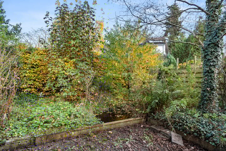 Foto 26 van Fluitekruid 8