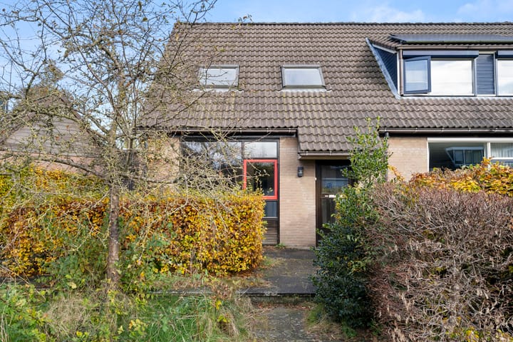 Foto 27 van Fluitekruid 8