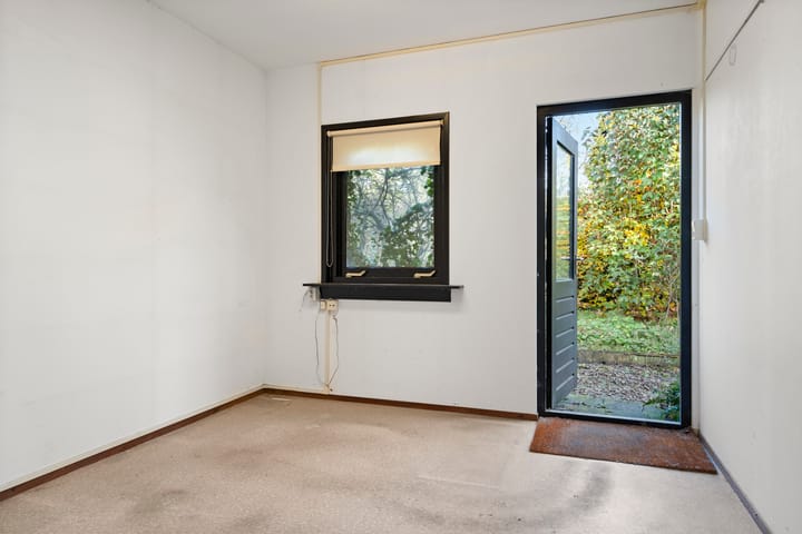 Foto 23 van Fluitekruid 8