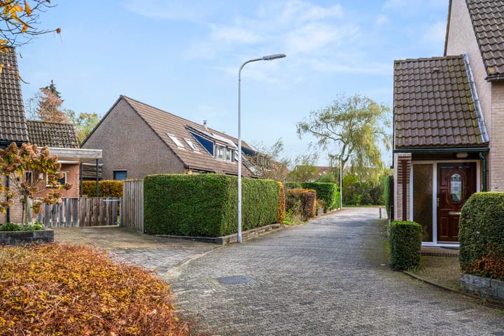 Foto 29 van Fluitekruid 8