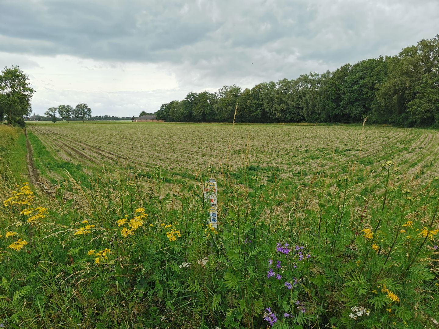 Cuykschesteeg - Escharen - Afbeelding 1