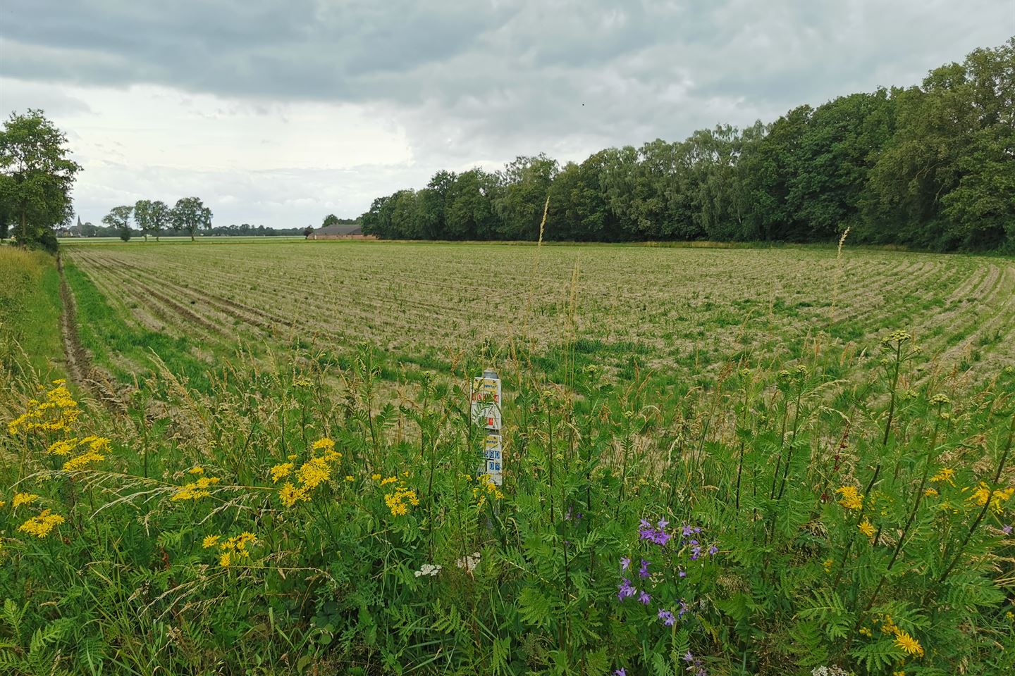 View photo 1 of Cuykschesteeg