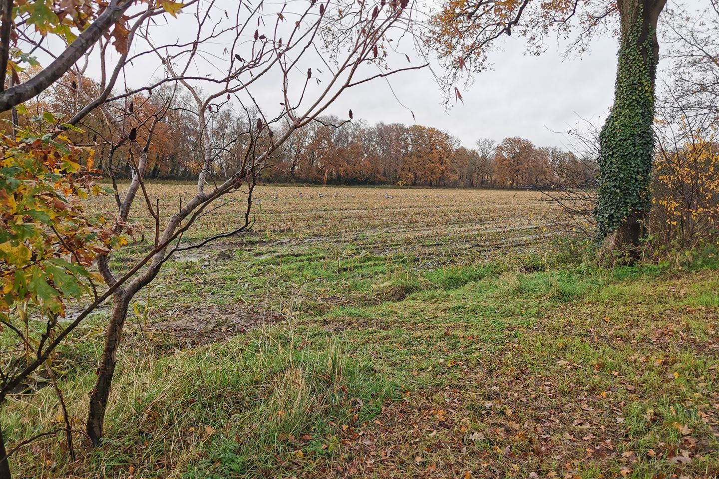 View photo 3 of Cuykschesteeg