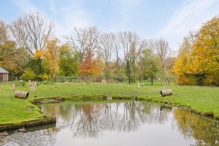 Bekijk foto 31 van Vissersdijk 13