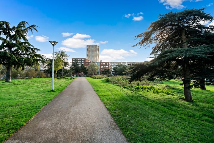 Bekijk foto 32 van Loosduinseweg 243