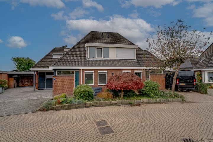 Foto 2 van Roodwilligen 27