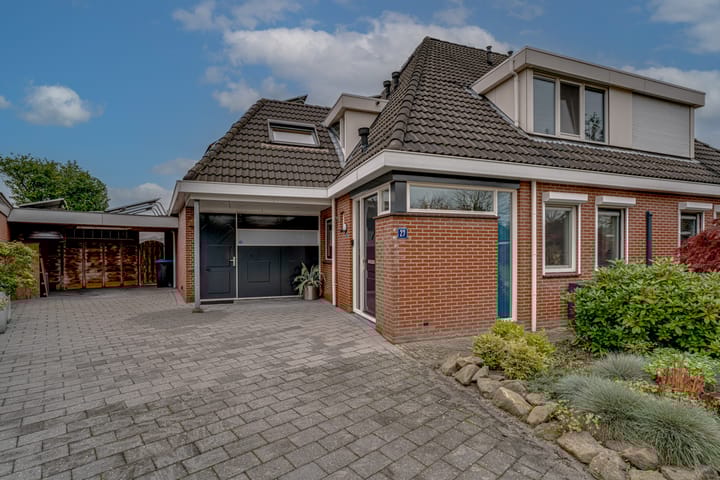 Foto 3 van Roodwilligen 27