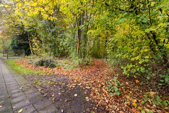 Foto 37 van Westerkimme 1