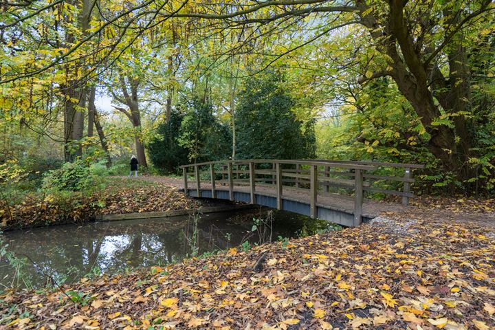 Bekijk foto 59 van Blauwe Vogelweg 3