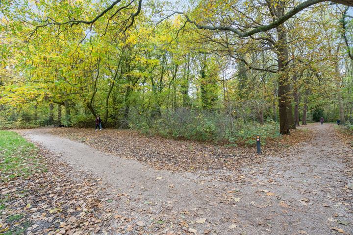 Bekijk foto 60 van Blauwe Vogelweg 3