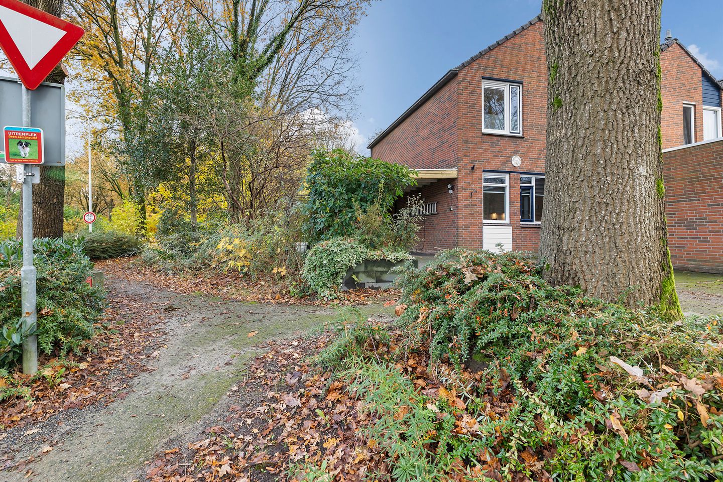 Foto 5 van Ruiterakker 1