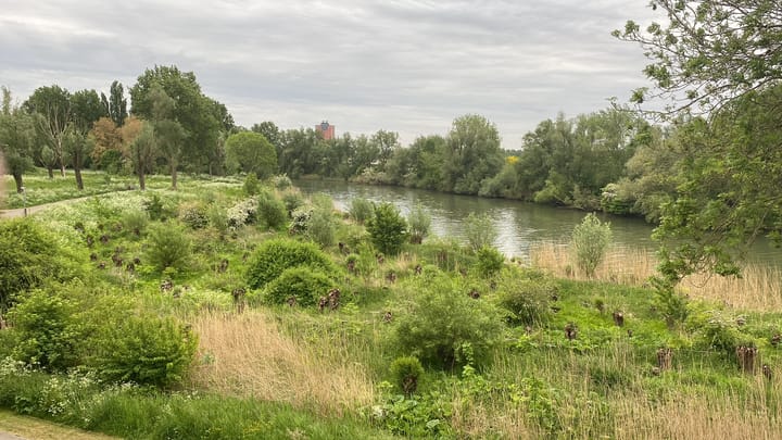 Foto 2 van Haringvlietstraat 189