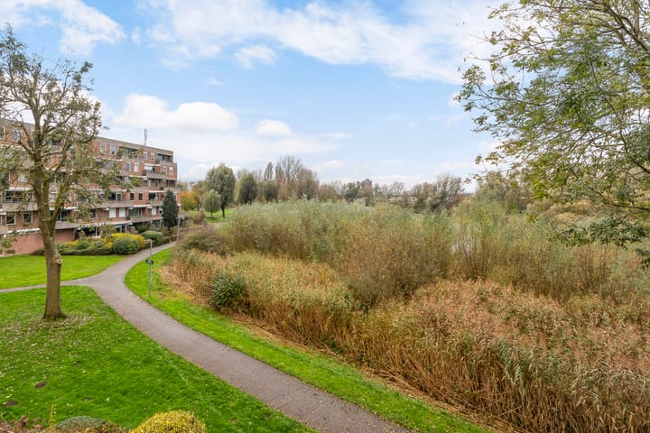 Foto 31 van Haringvlietstraat 189