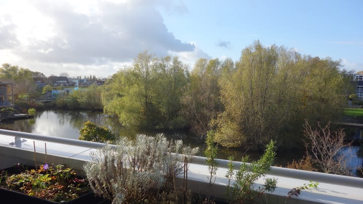 Foto 22 van Dinarpromenade 19