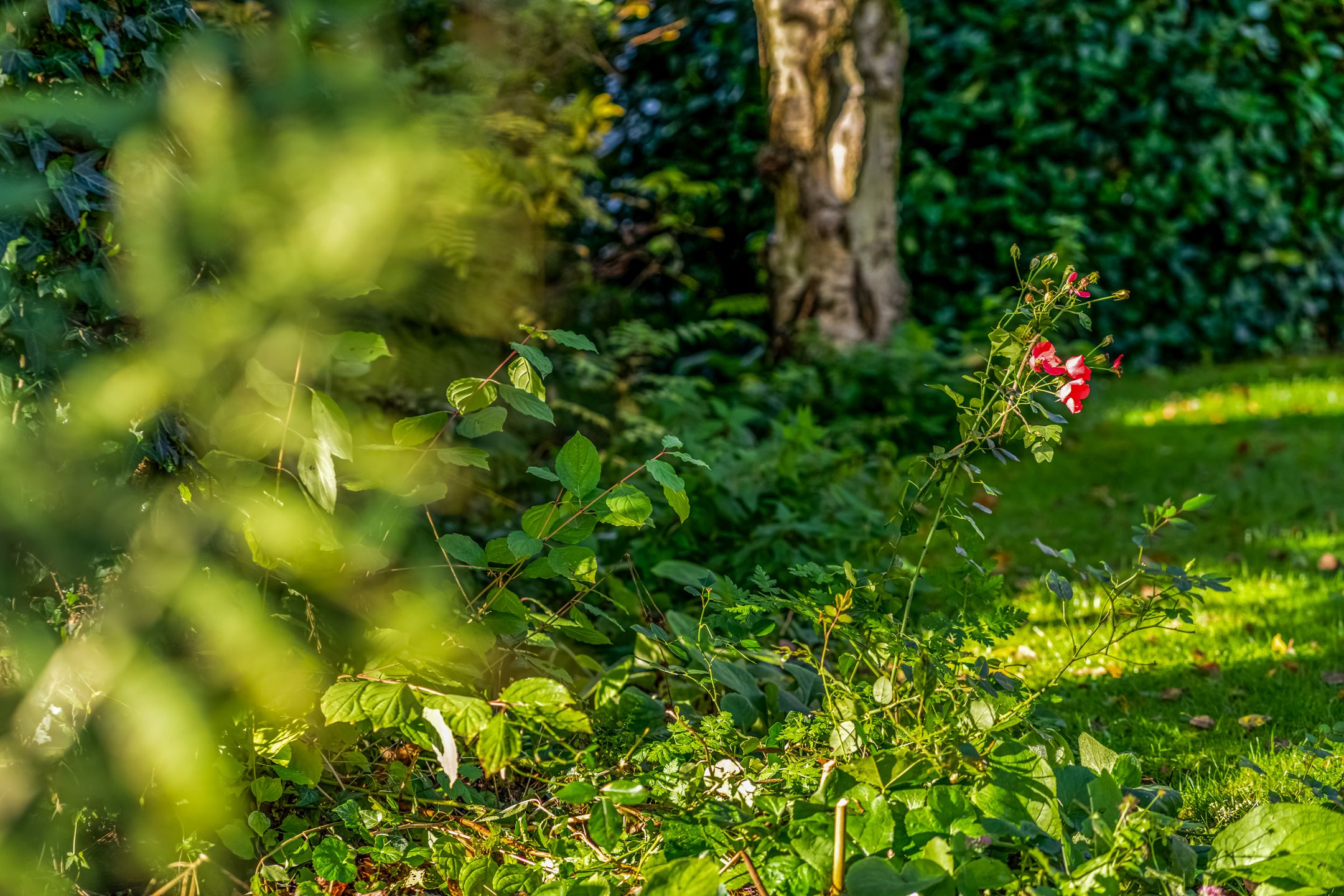 Foto 33 van Pastoor Wichersstraat 41