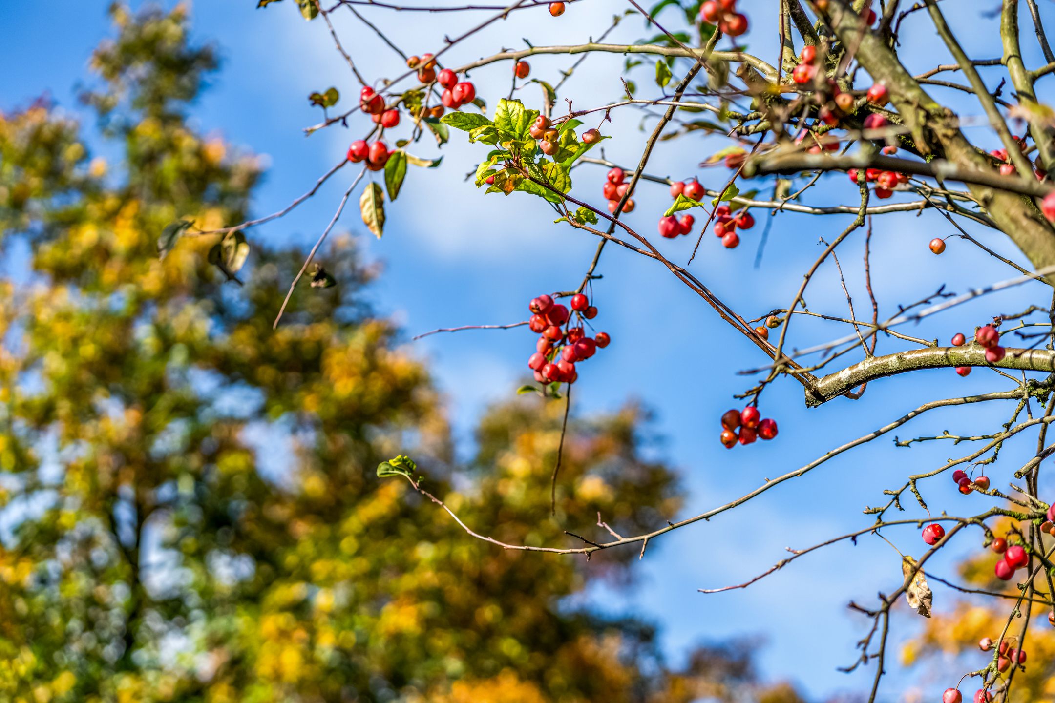 Foto 39 van Pastoor Wichersstraat 41