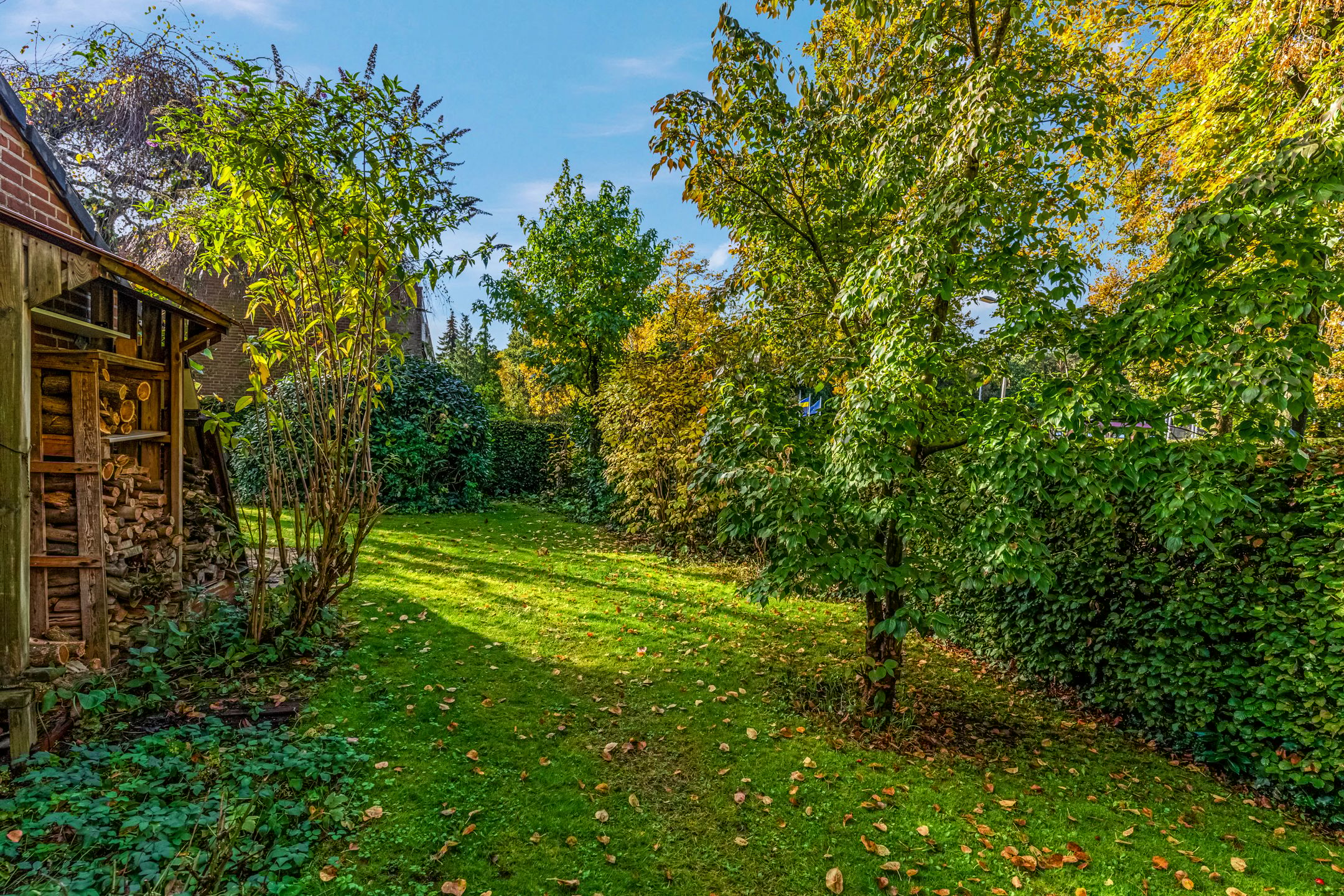 Foto 42 van Pastoor Wichersstraat 41