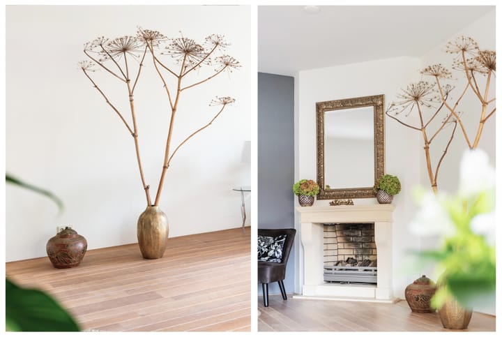 Foto 15 van Dillenburg 3