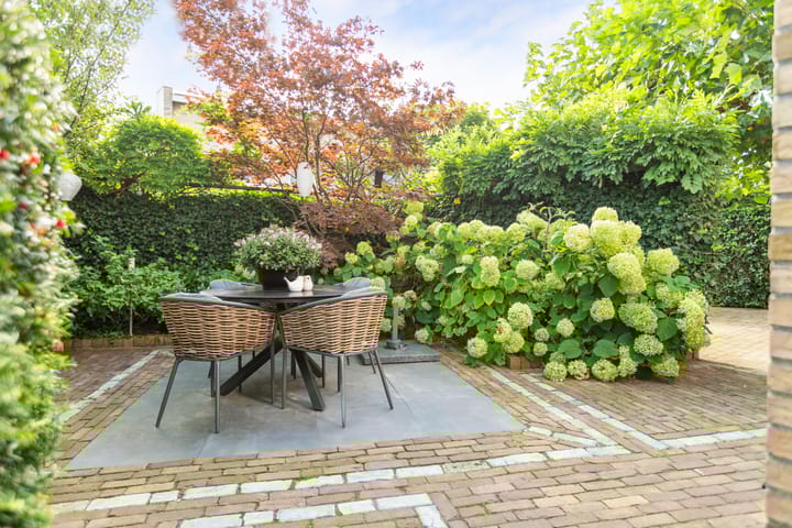 Foto 48 van Dillenburg 3