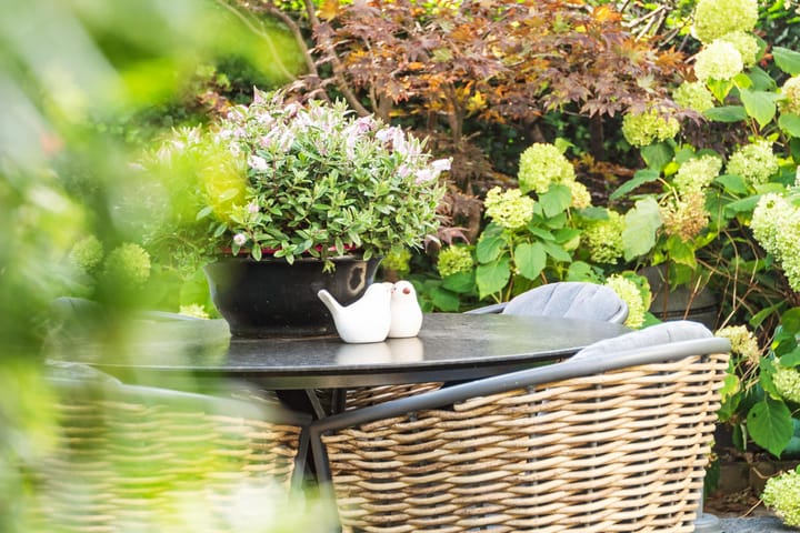 Foto 51 van Dillenburg 3