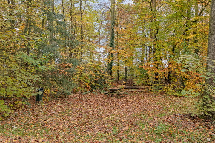 Foto 33 van Frieswijkerweg 16