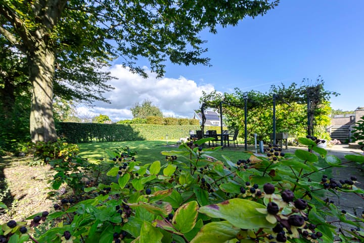 Foto 39 van Sterappelstraat 48