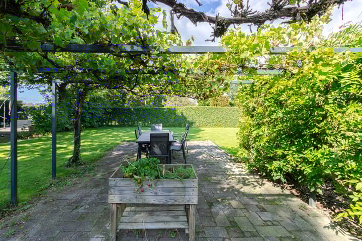 Foto 43 van Sterappelstraat 48