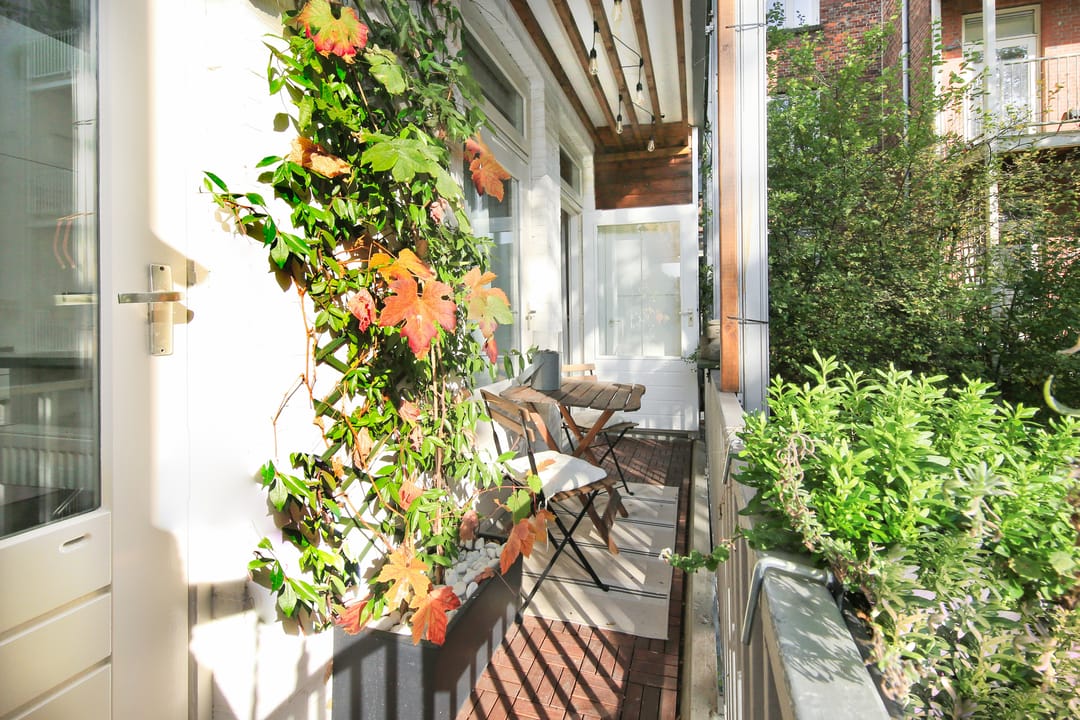 Foto 16 van Hembrugstraat 3-1