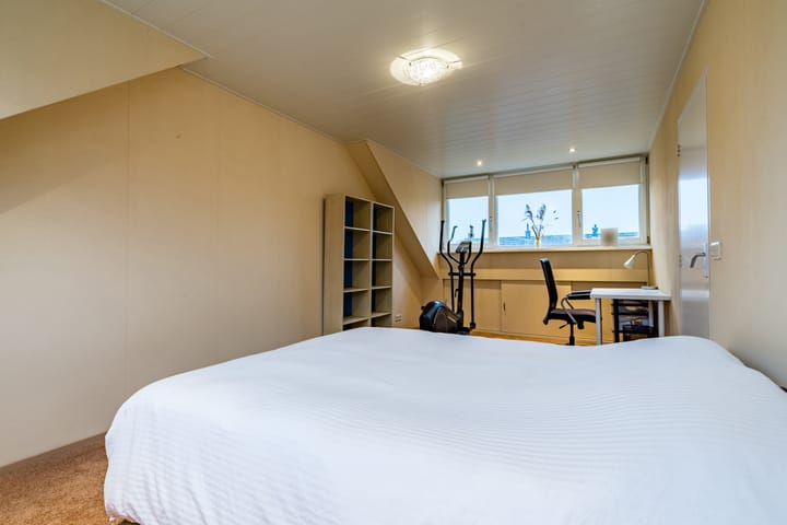 Foto 34 van Hoefblad 2