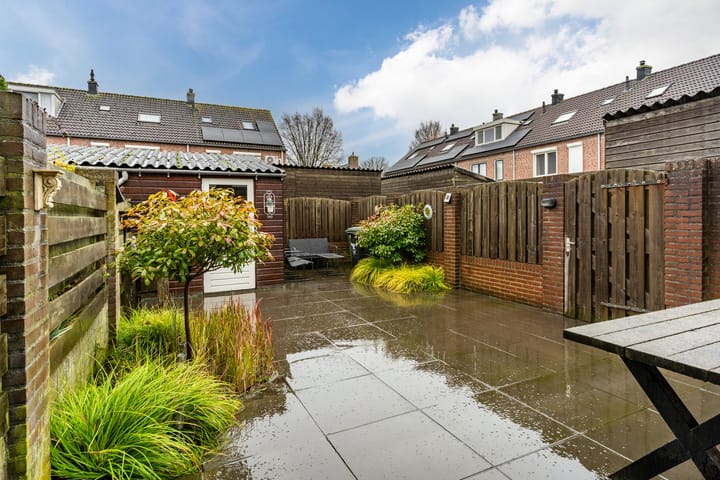 Foto 39 van Hoefblad 2