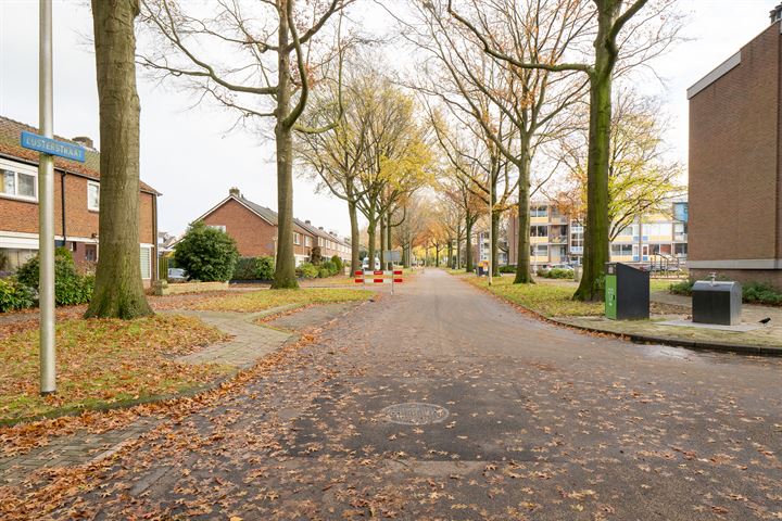 View photo 36 of Lijsterstraat 41