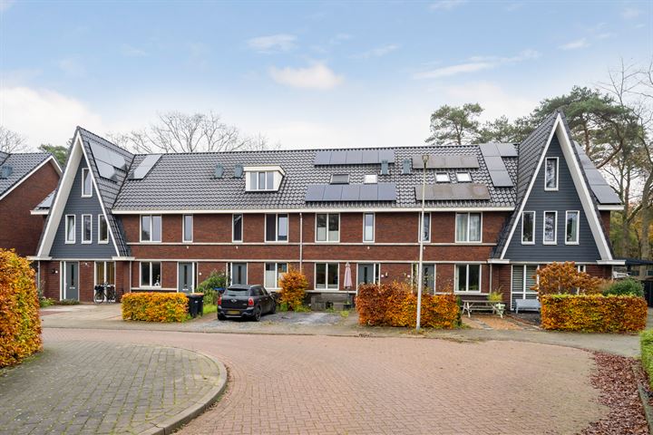 Bekijk foto 36 van Duivenhorst 40