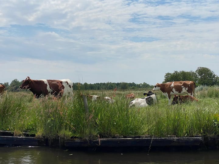 Foto 64 van Driftlakenseweg 2