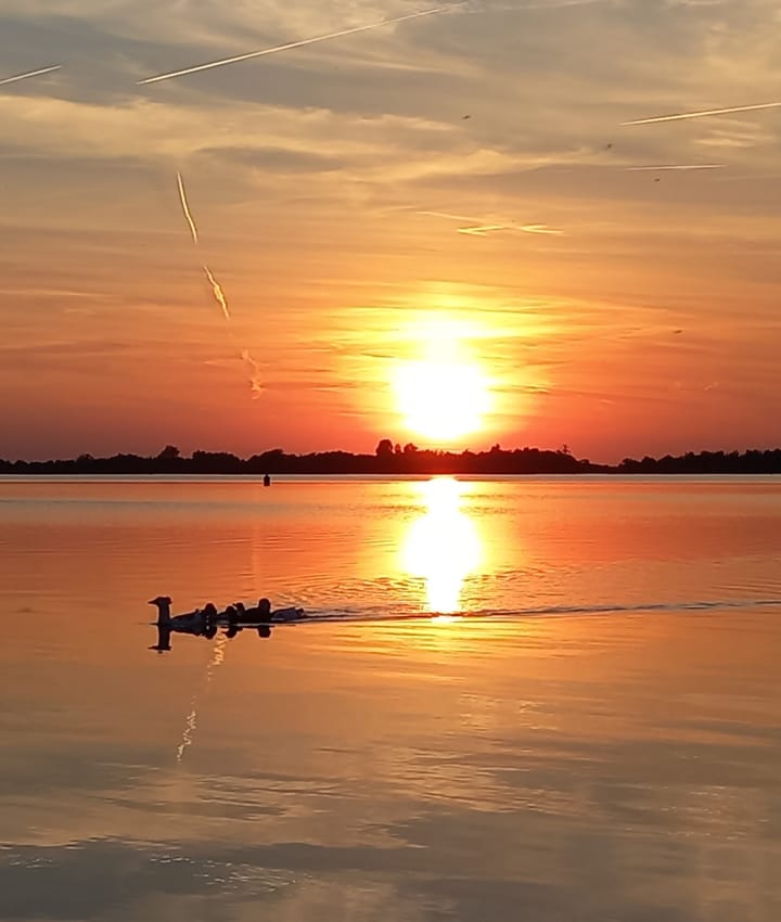 Foto 66 van Driftlakenseweg 2