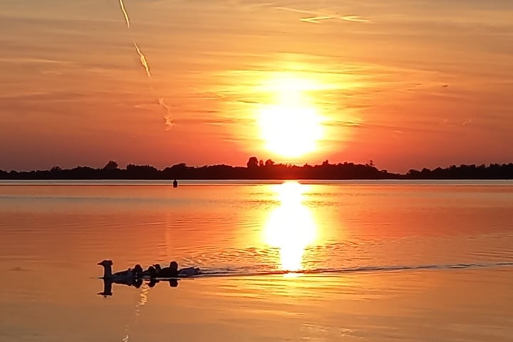 Bekijk foto 66 van Driftlakenseweg 2