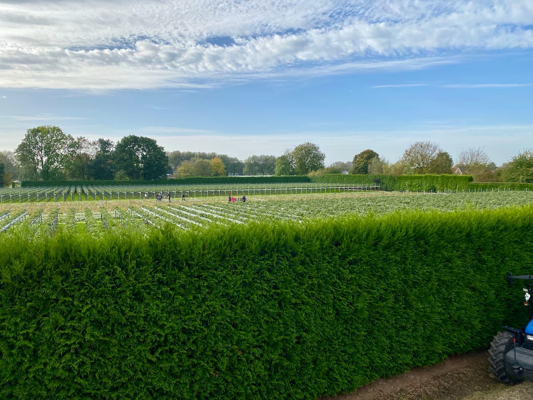 Foto 23 van de Pas 9