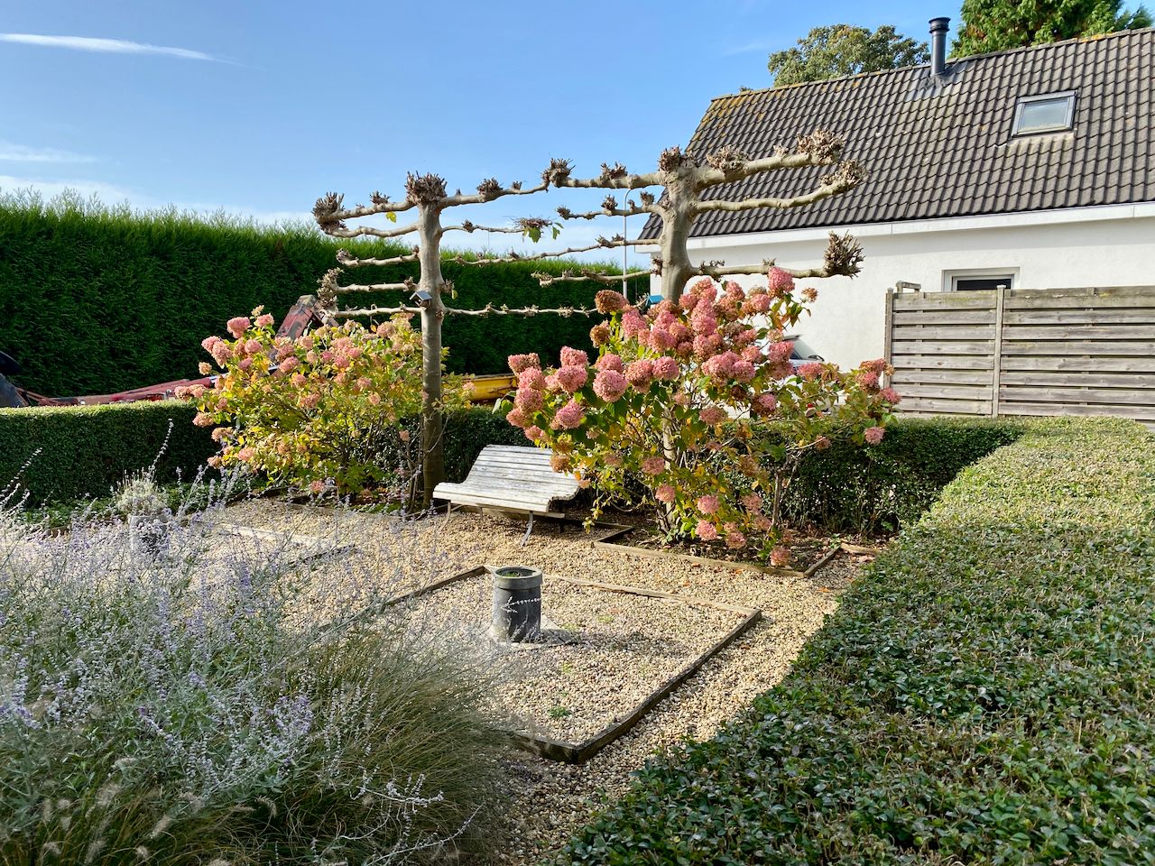 Foto 40 van de Pas 9