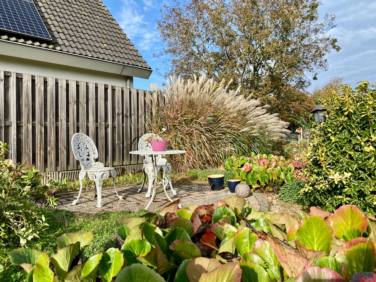 Foto 45 van de Pas 9