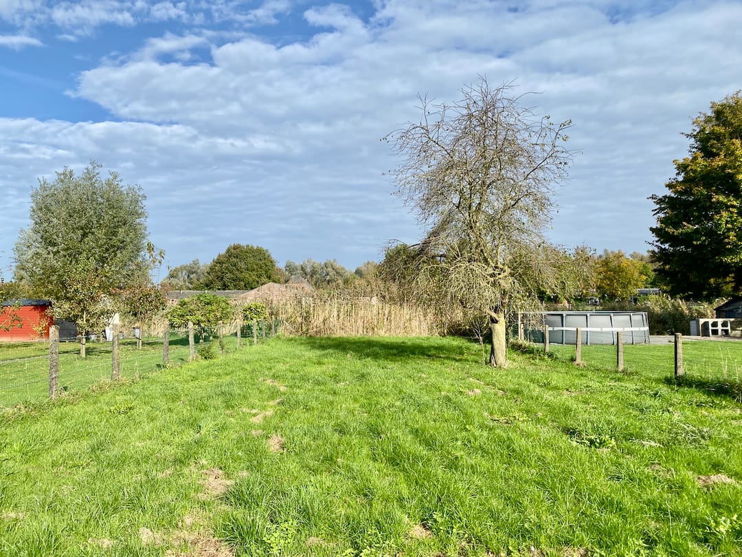 Foto 53 van de Pas 9