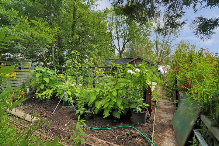 Foto 35 van Wethouder Venteweg 46