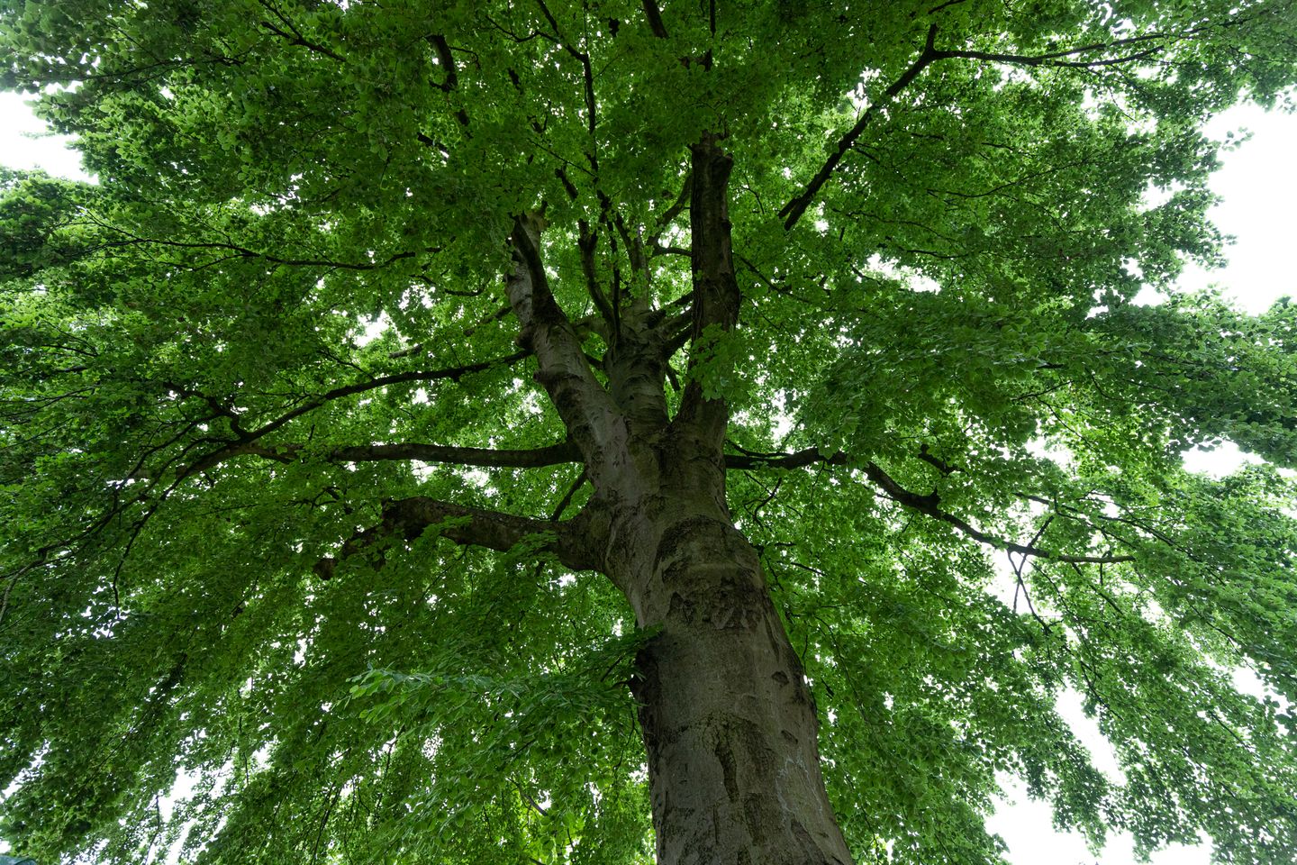 Photo 29 of Ginnekenweg 144