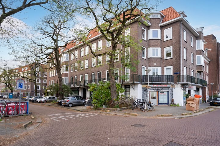 Bekijk foto 30 van Nepveustraat 8-3