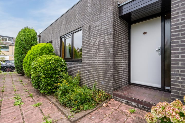 Foto 4 van Pieter 11