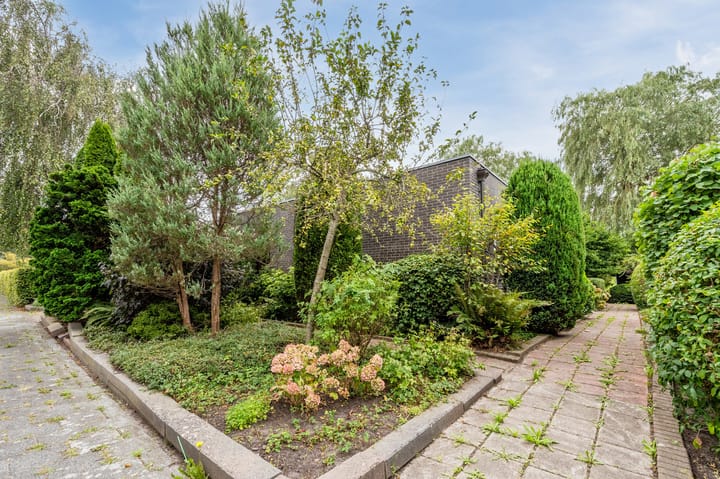 Foto 26 van Pieter 11