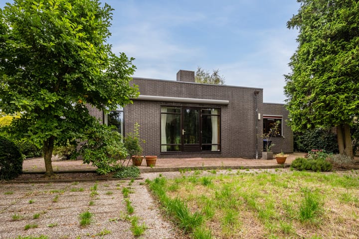 Foto 3 van Pieter 11